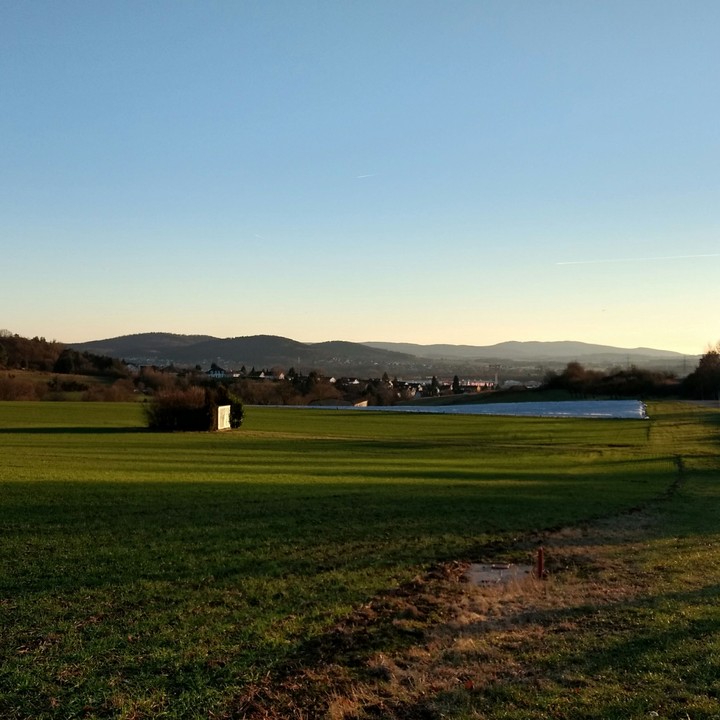 Fields