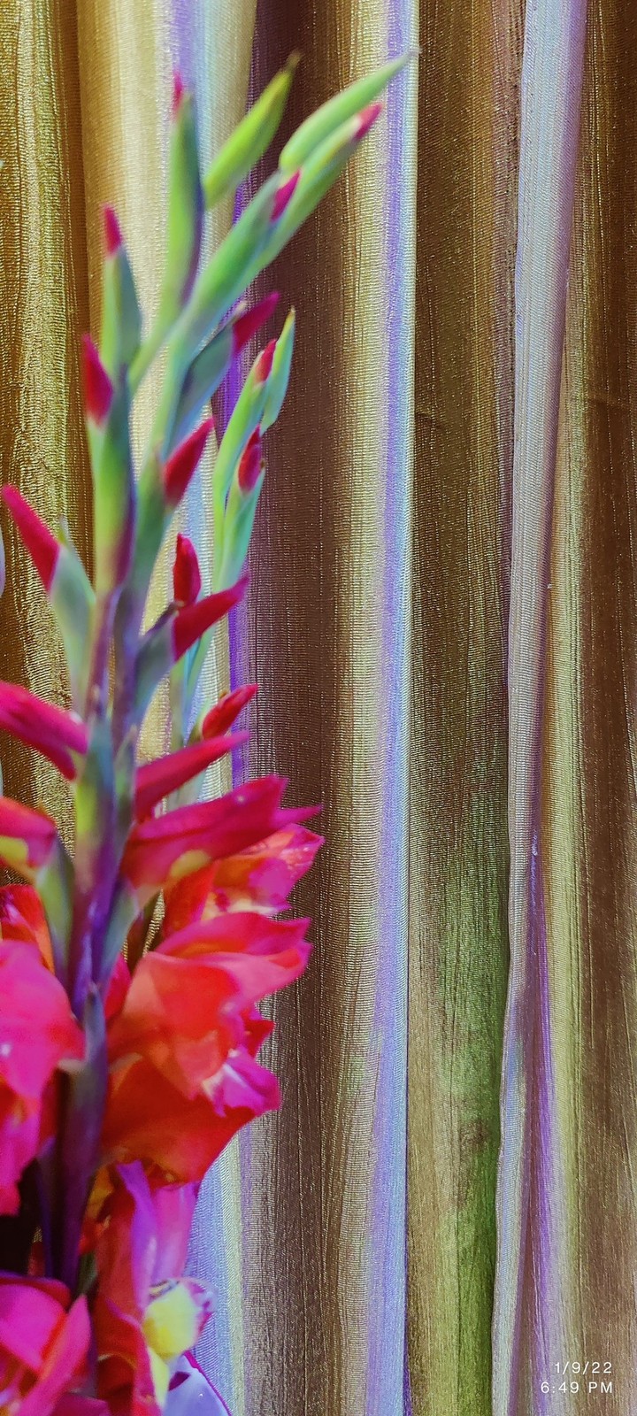 Decoration