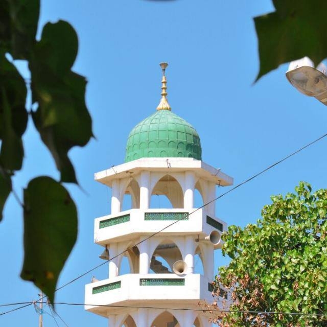 Dome of a MOSQUE