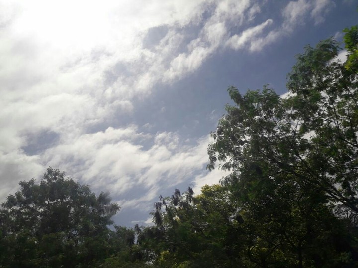 Cielo