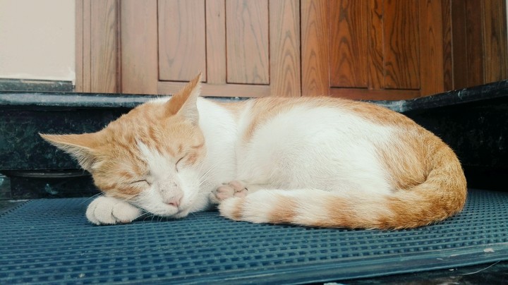 Please don't disturb me