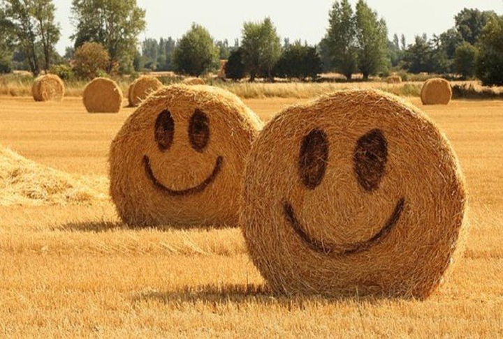 Smile... See Even Grass is...