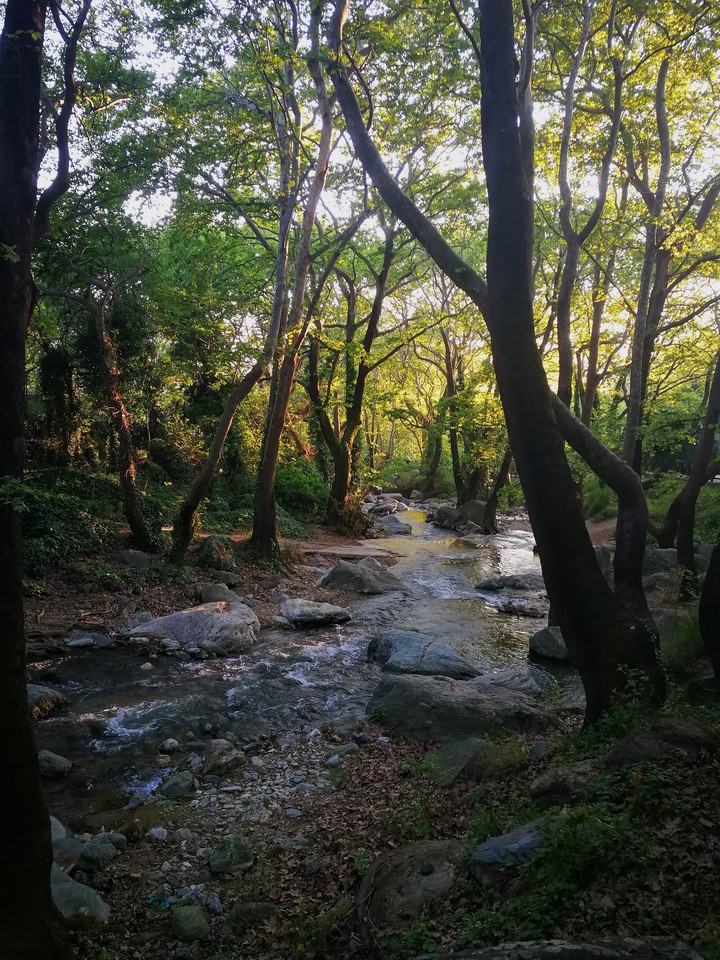 Beauty of nature