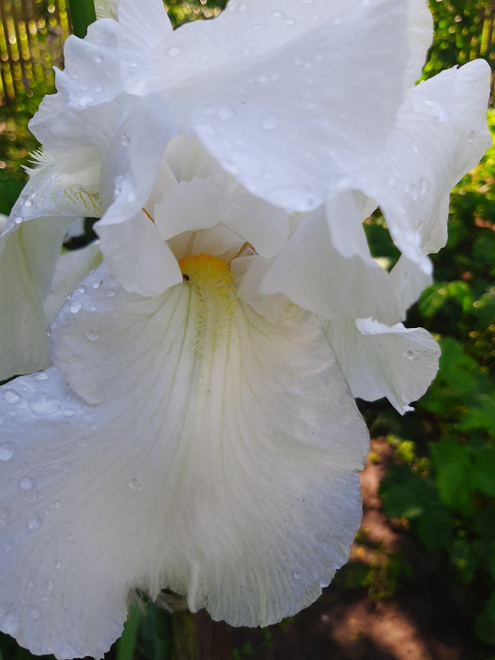 bright moments of summer