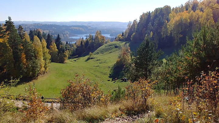 jesień