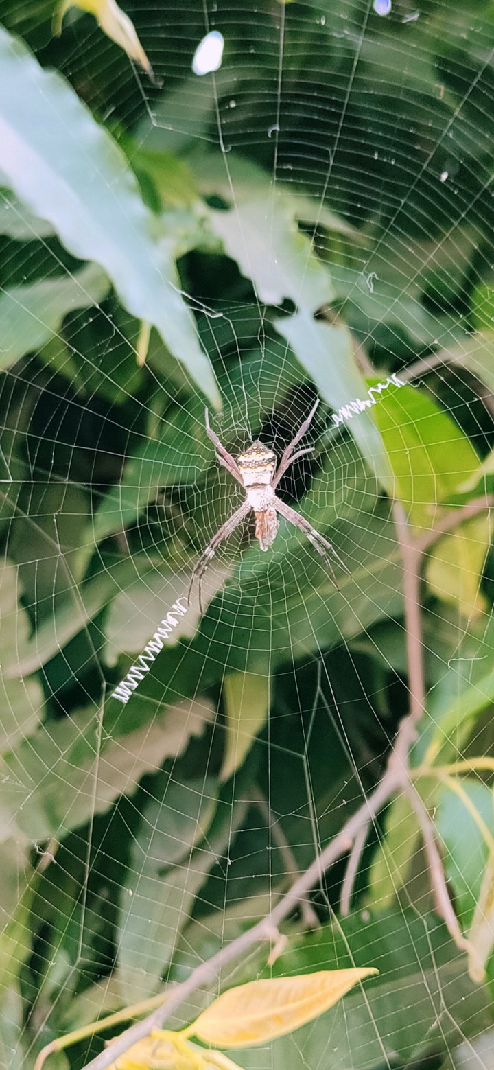 My Photography