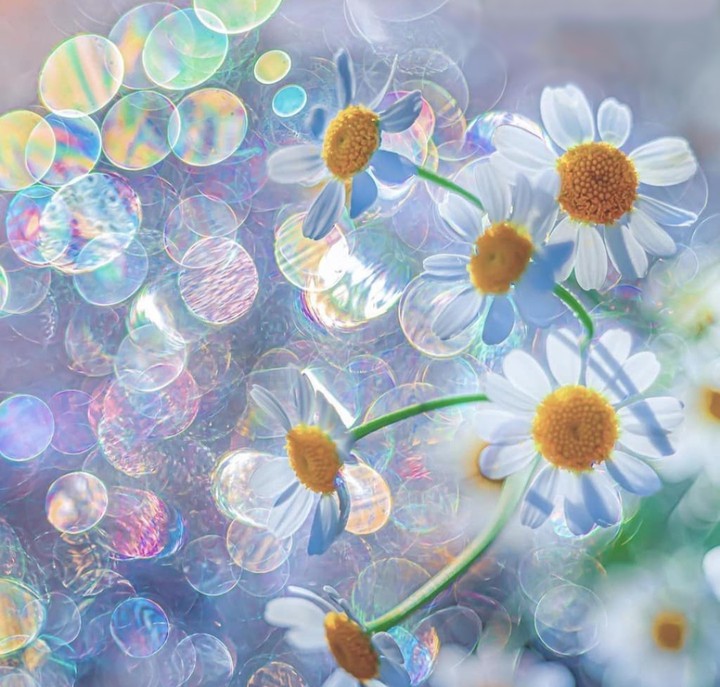 beautiful day...