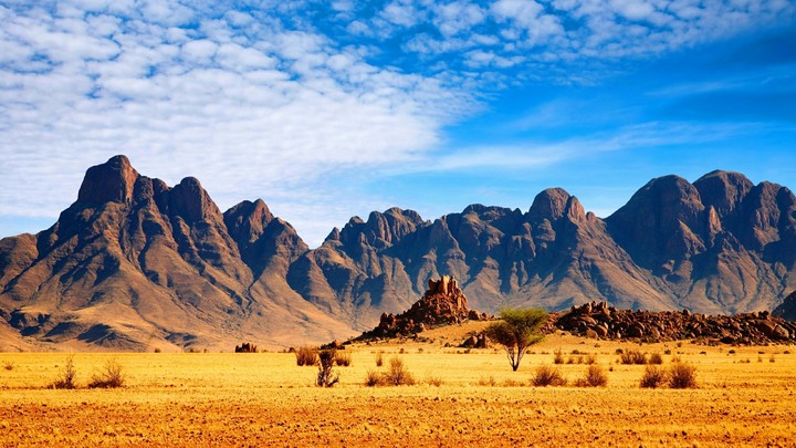 African Savanah (Ultra HD 4k)