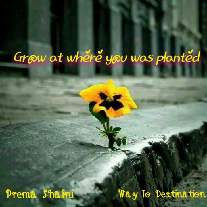 Grow