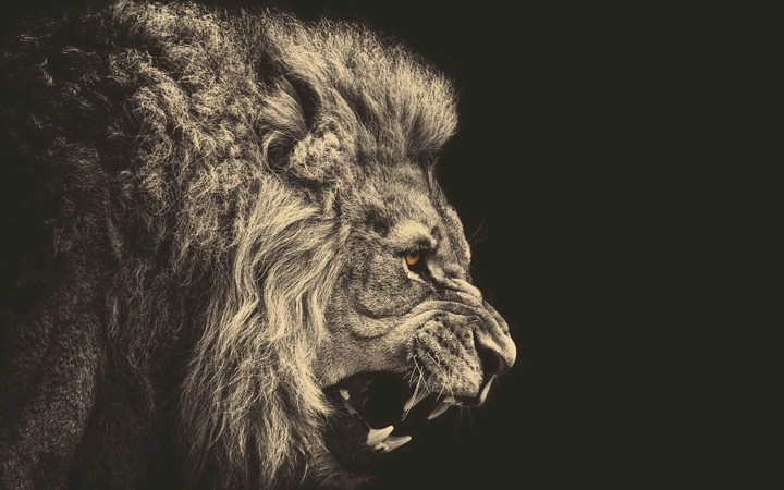 king