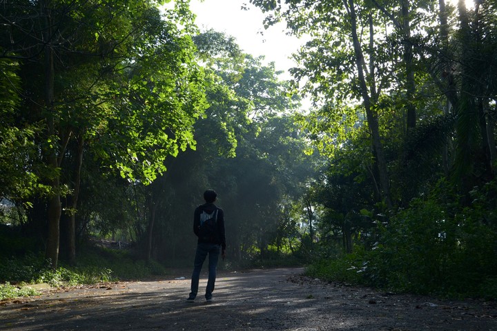 Dago
