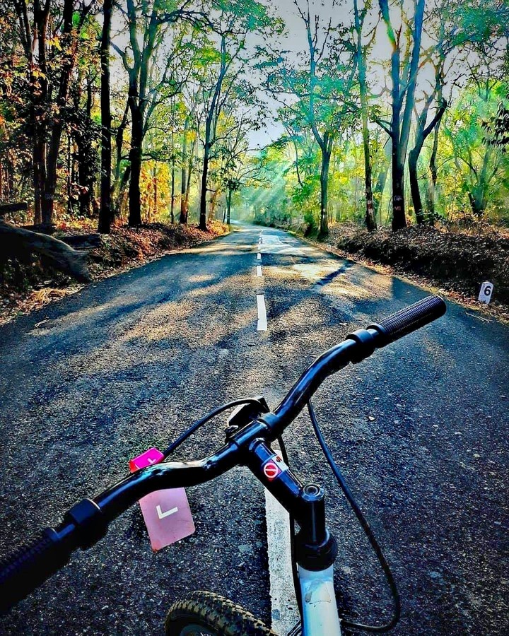 Nature