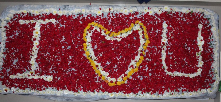 Love ❤