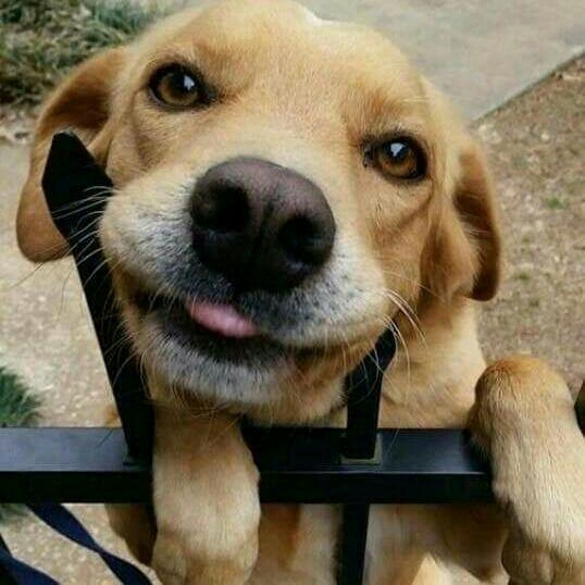?