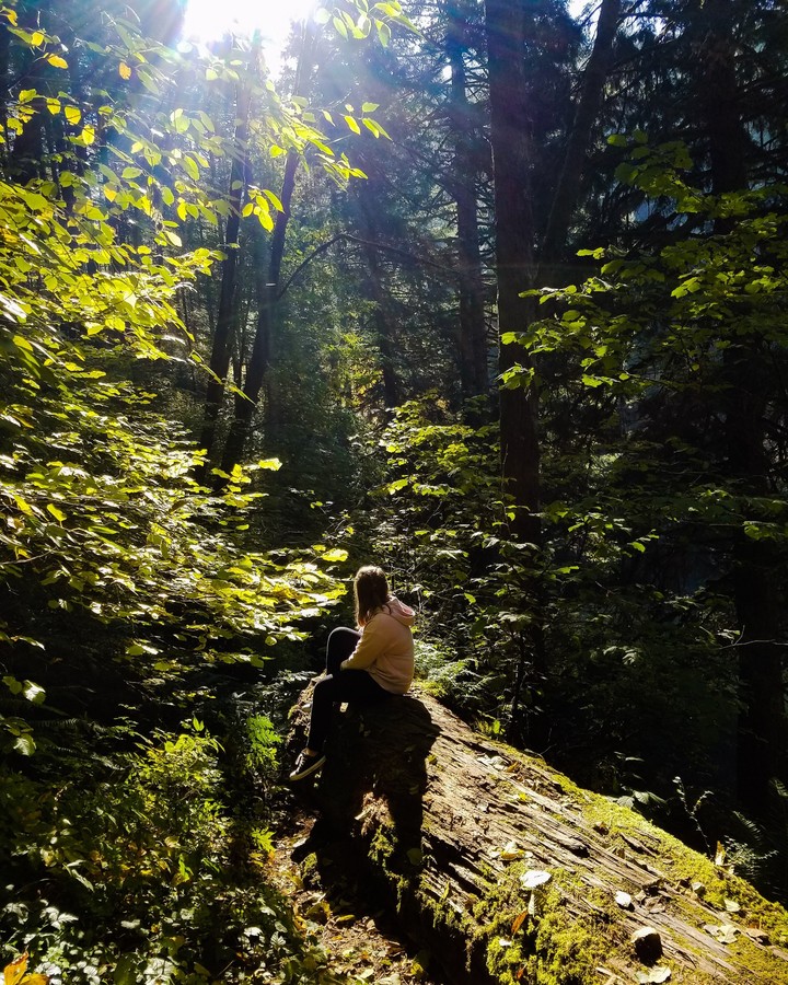 sitting in the woods