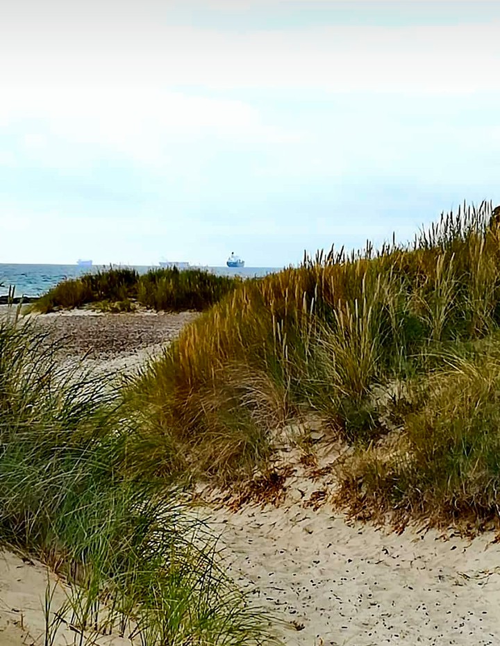 Meer