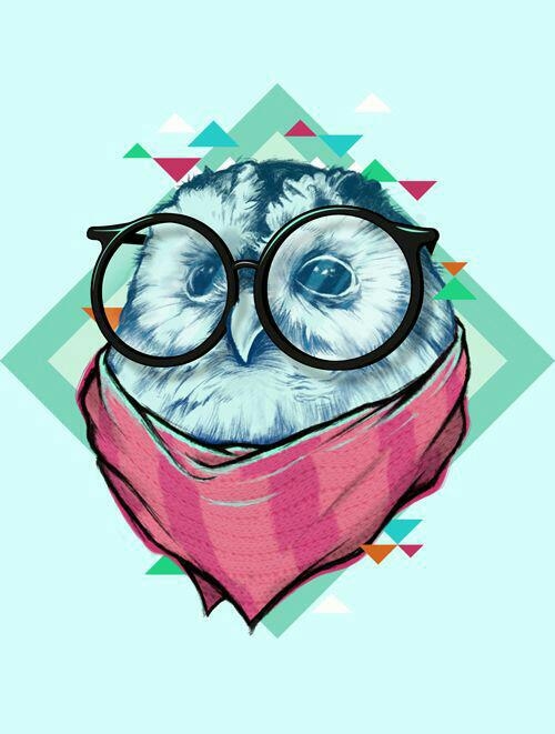 owl