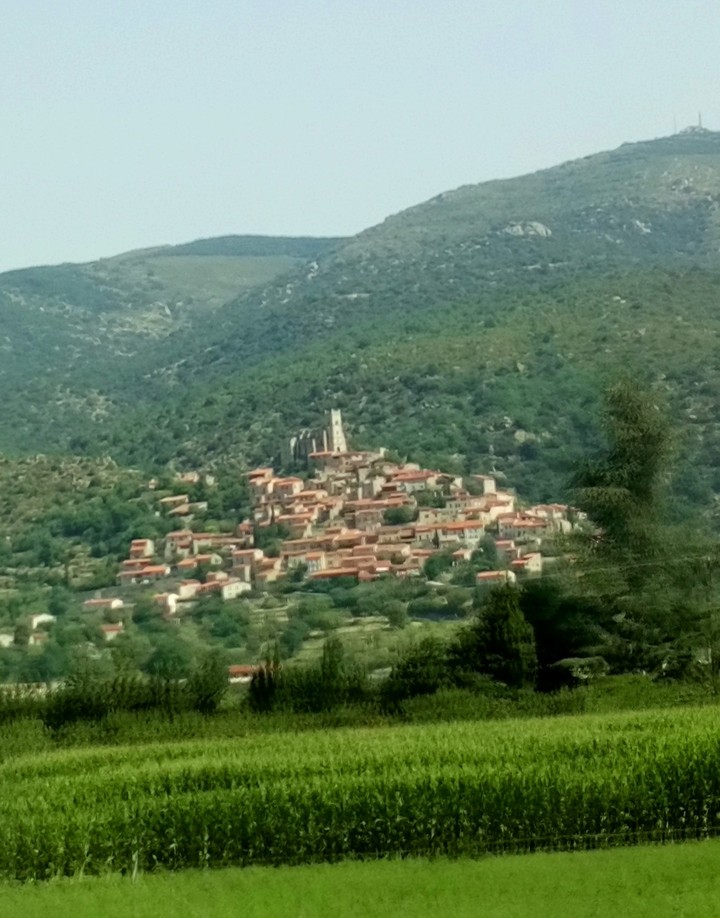 paysage