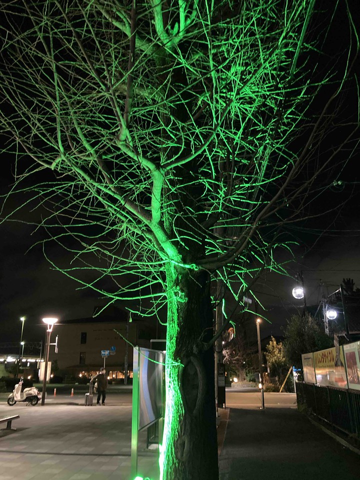 green tree