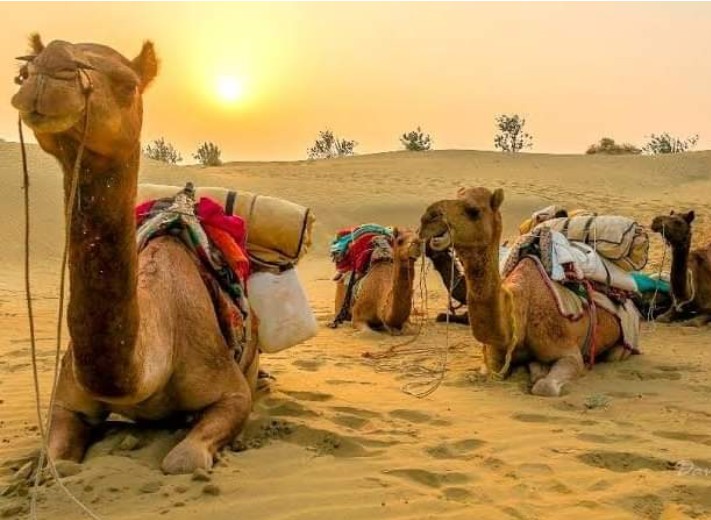 Rajasthan