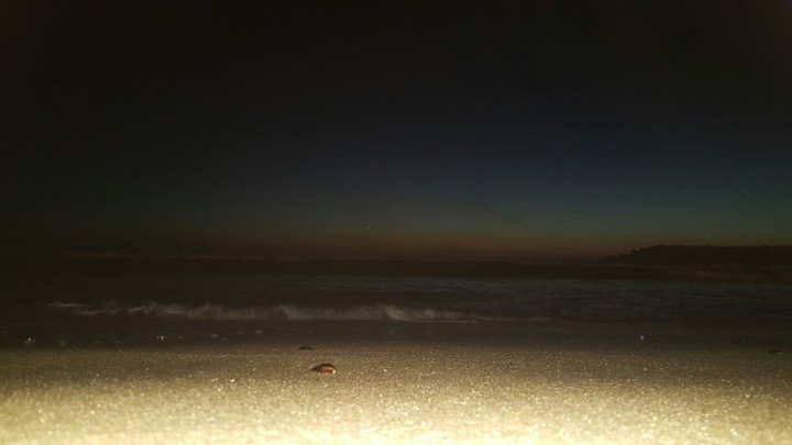 beach