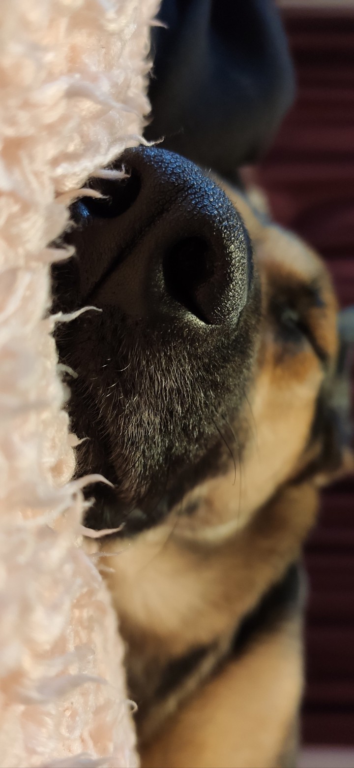 sleepy friend