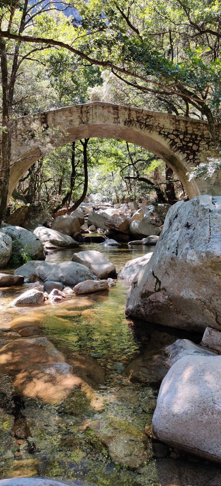 River under bridge