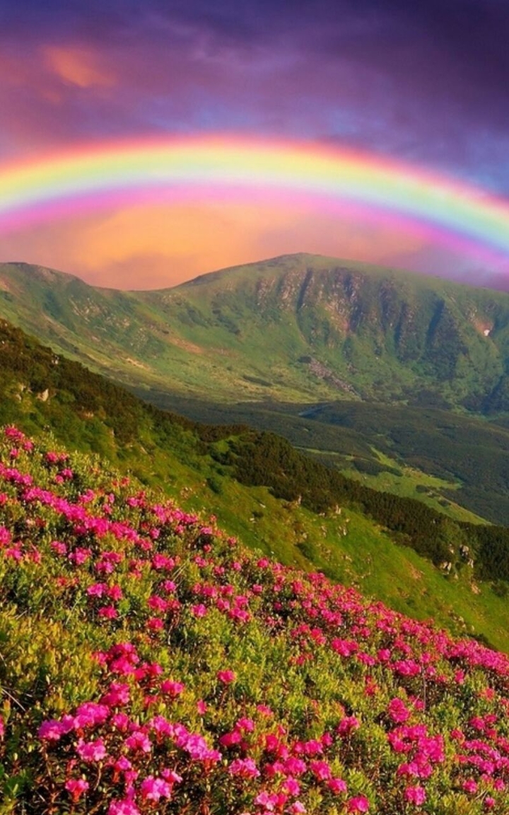 rainbow  ♥      nature