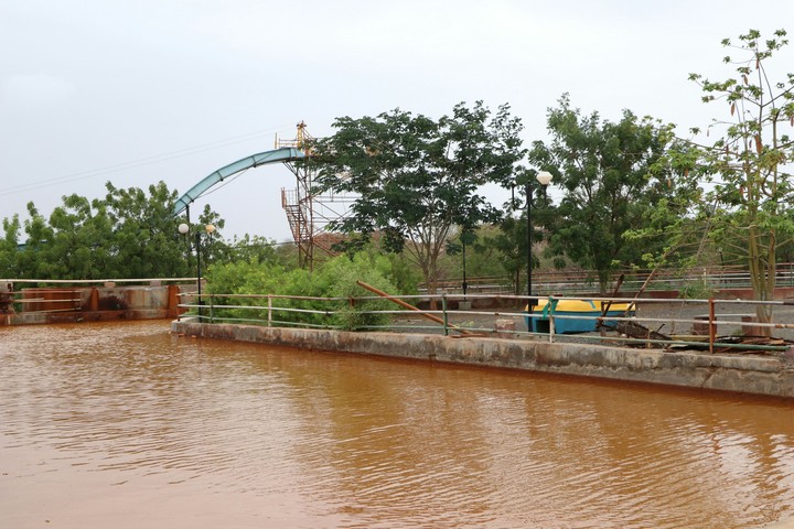 garden