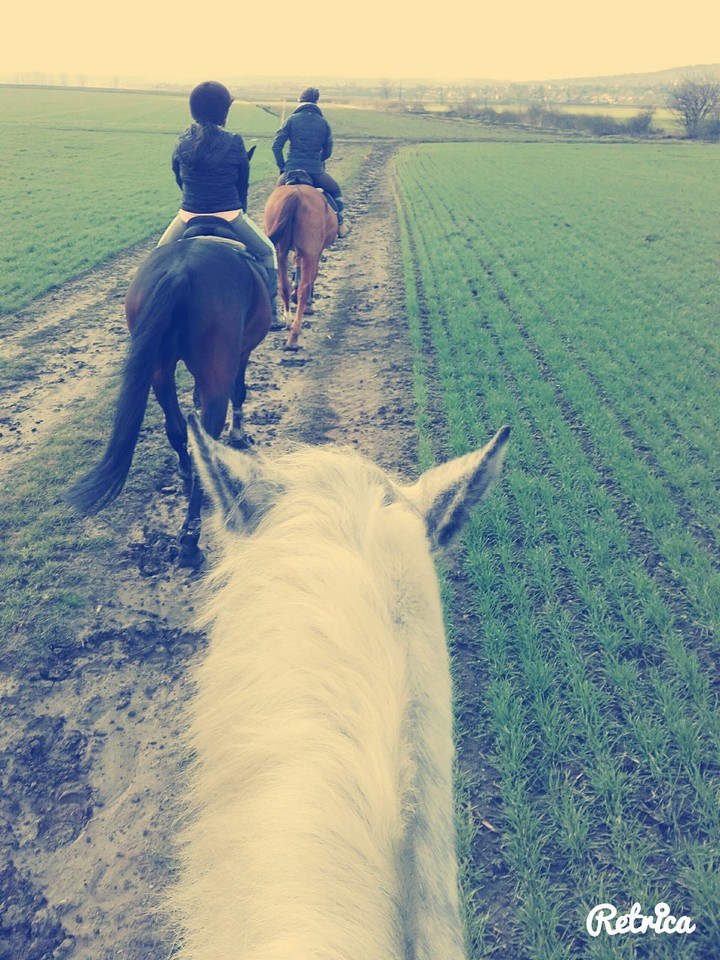 Riding terrain