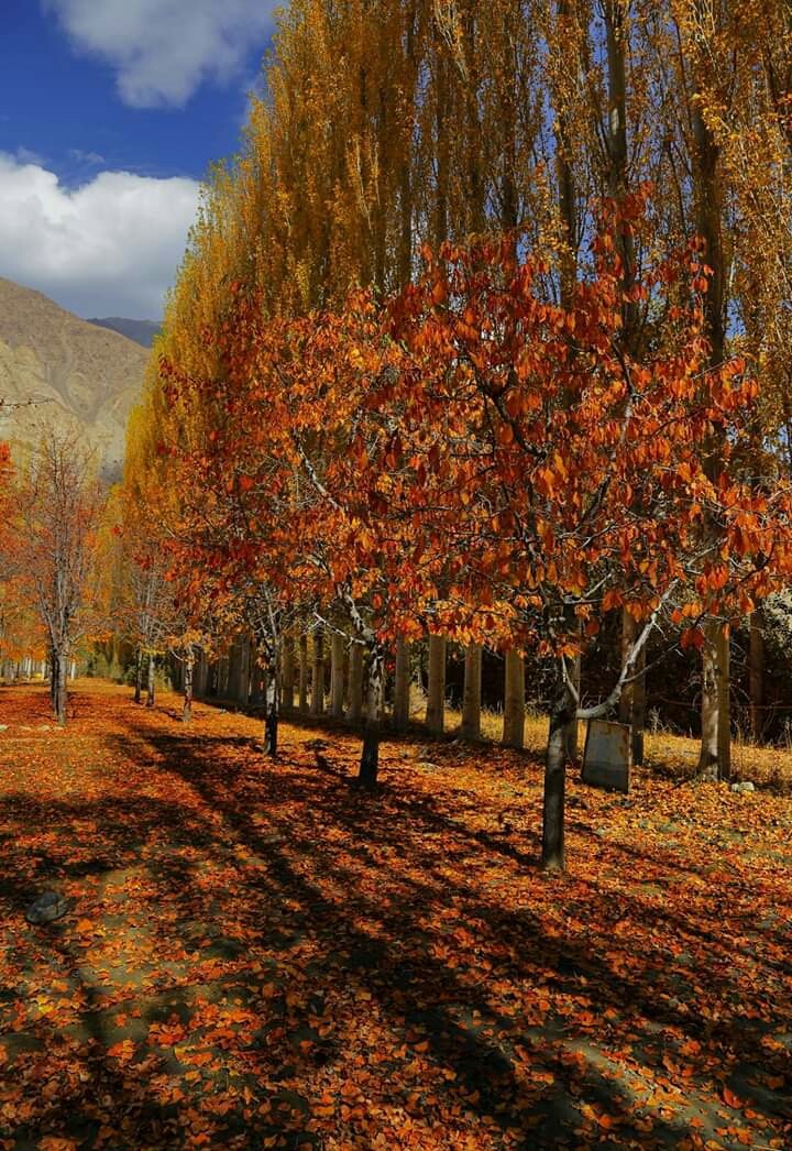 Hunza Pakistan