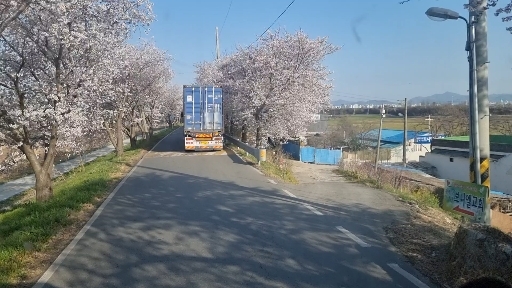 벗꽃길