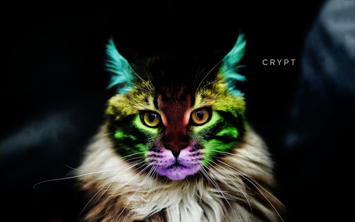 Colours