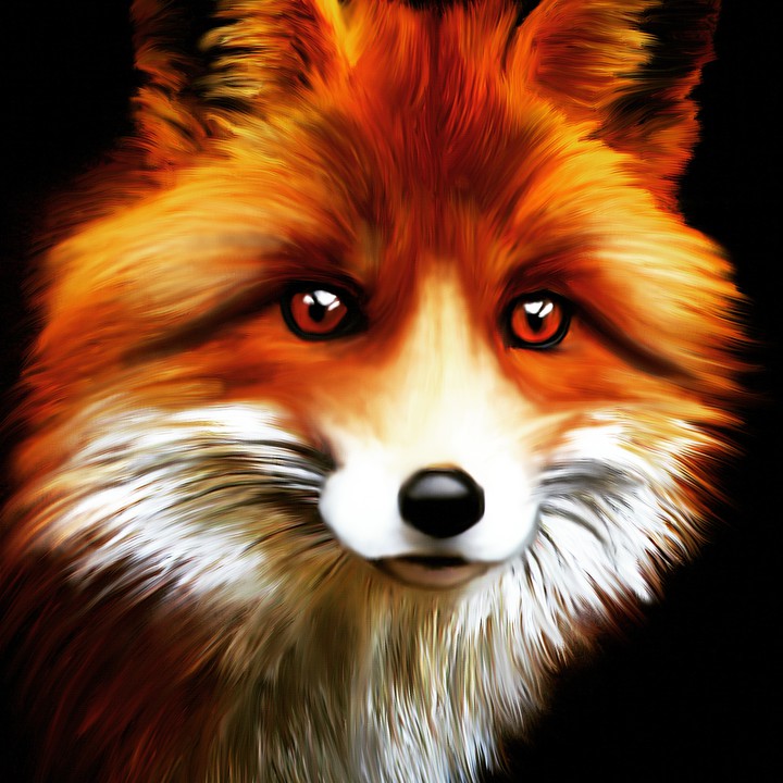 Fox