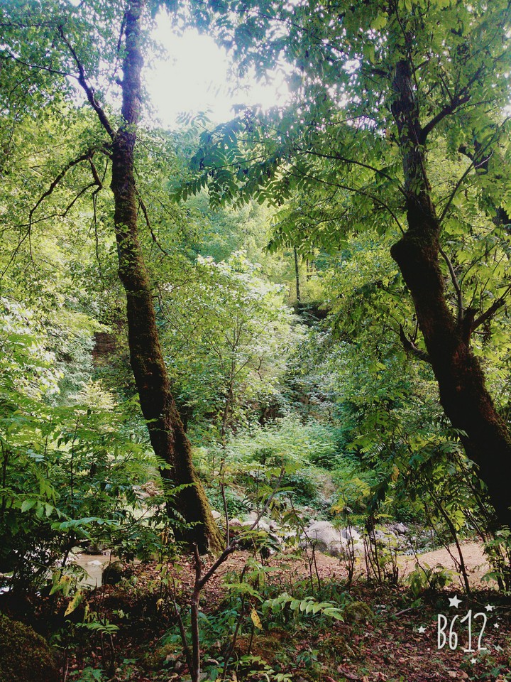 nature