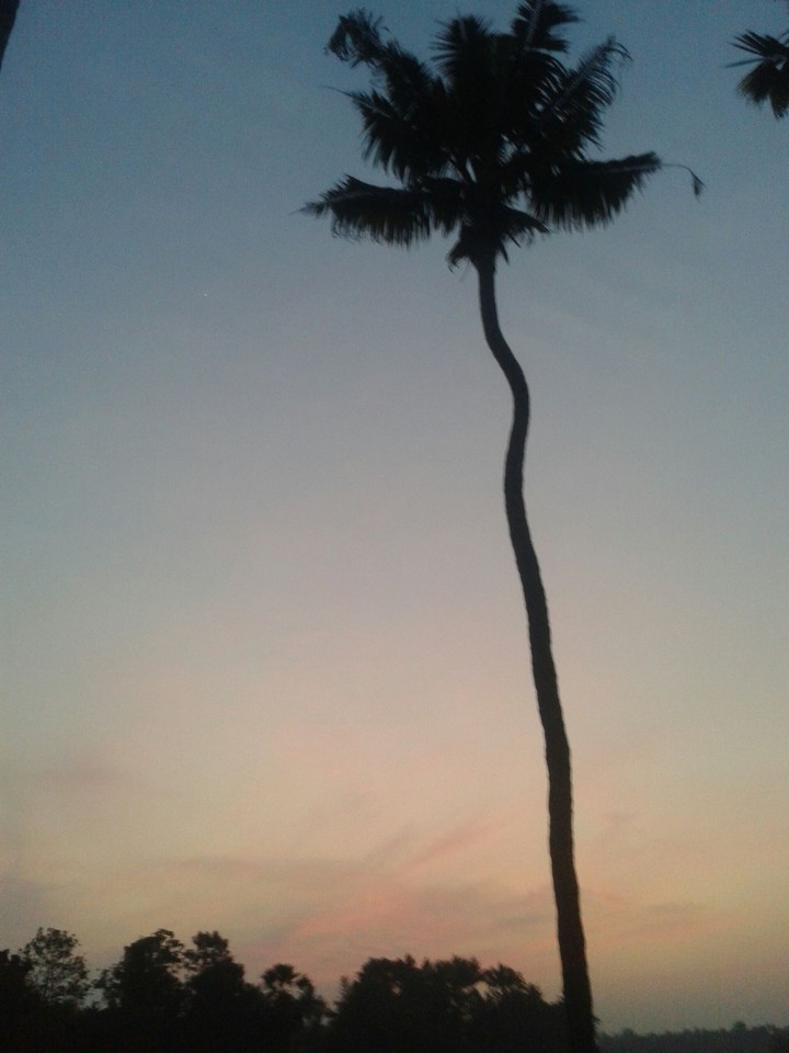 evening