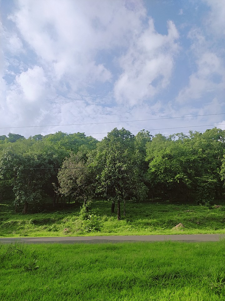 Where sky meets the greenery!