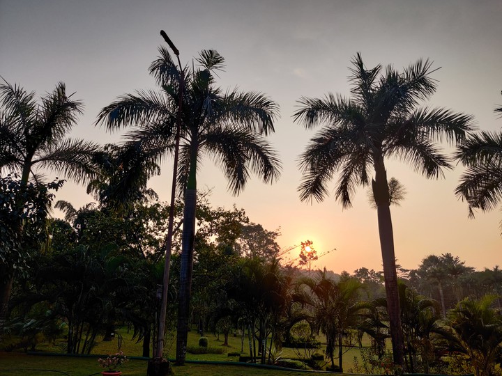 goa