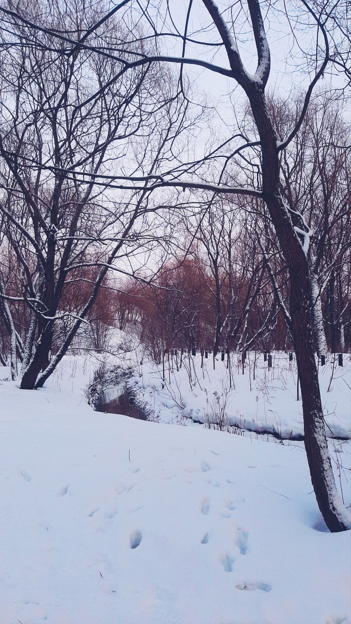 Речушка