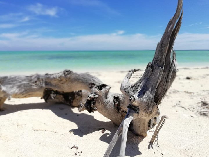 Punta Arena