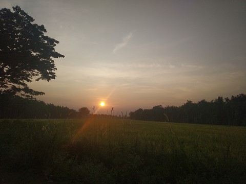 sunset