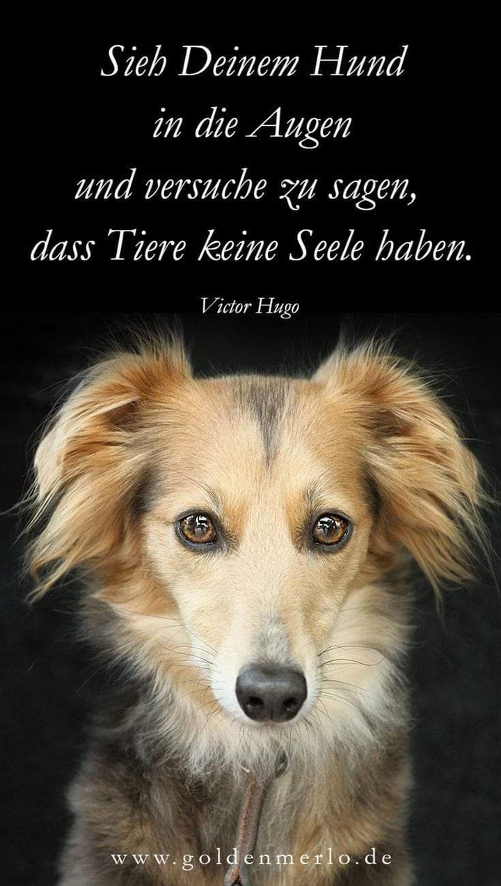 ❤❤❤