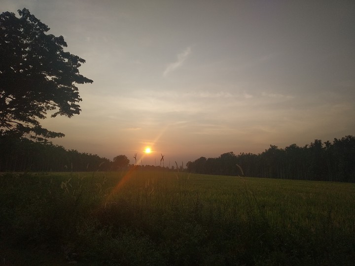sunset