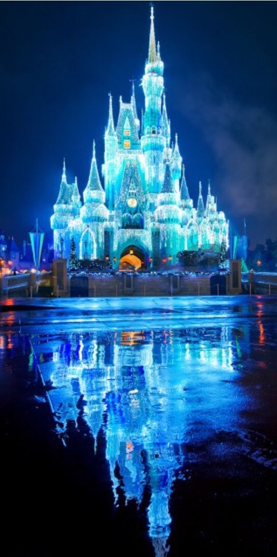 Disney Castle