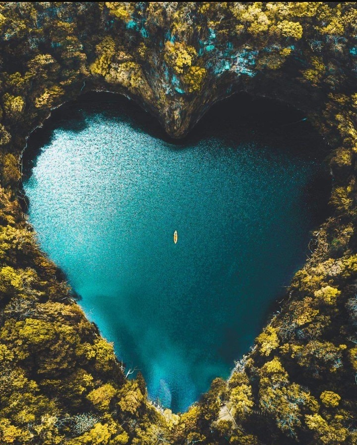 aaaa