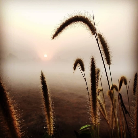 sunrise