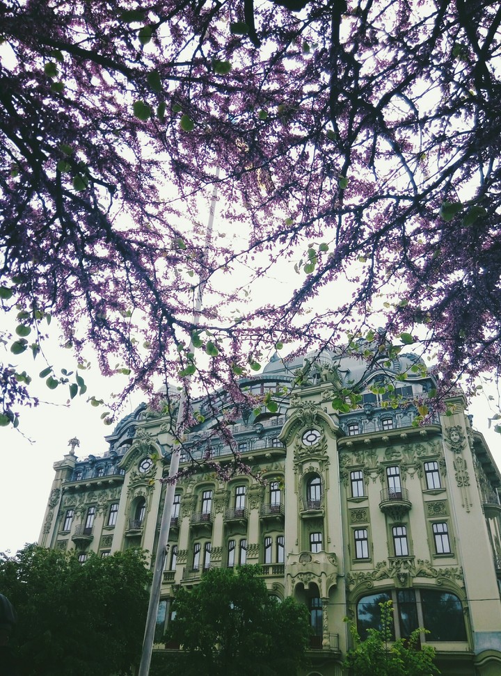 architecture