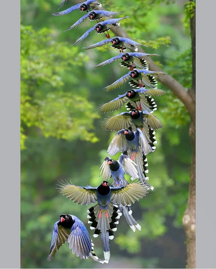 beautiful photograpy