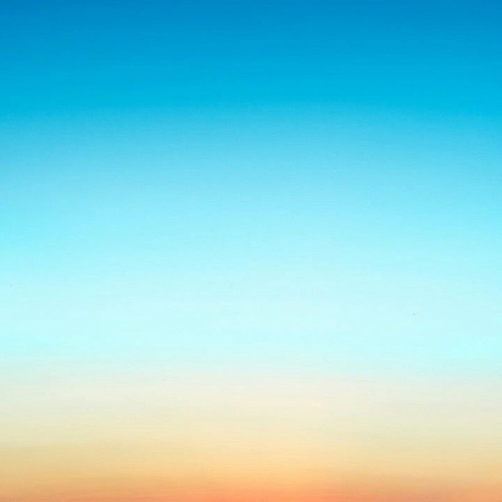 wallpaper