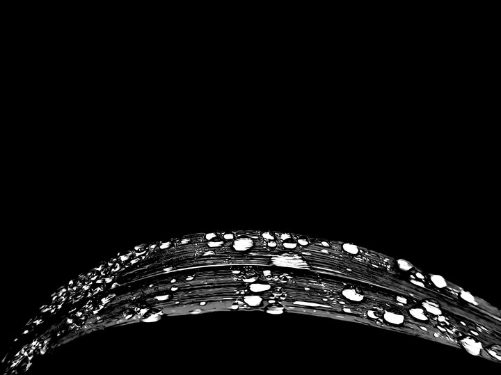 Droplets On Leaf
